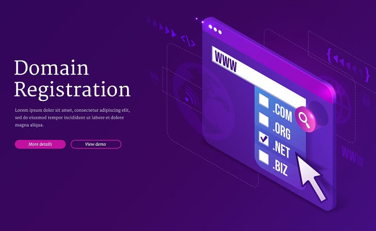 Domain Registrar