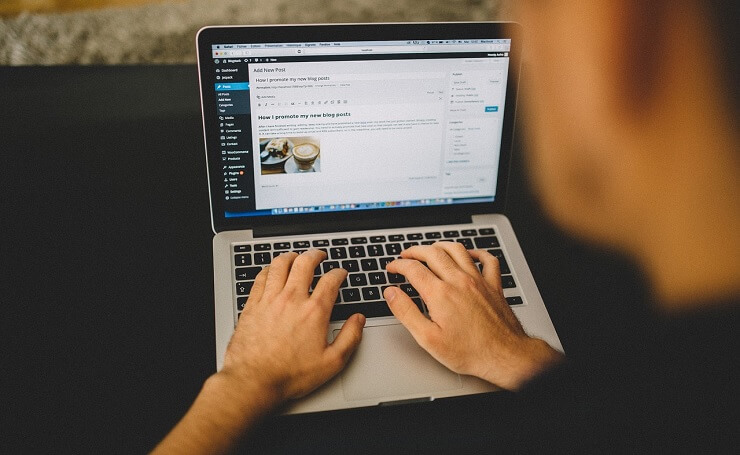 WordPress Website